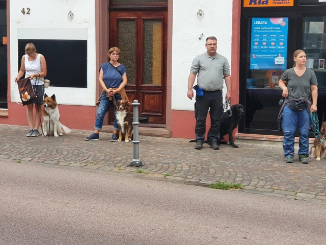 Hundeführerschein, Führung durch die Stadt
